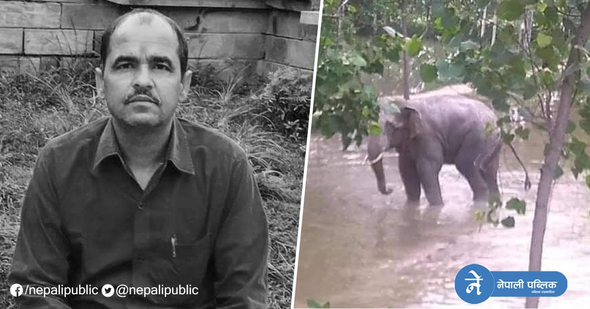 जगंली हात्तीको आक्रमणबाट बारामा व्यवसायीकाे मृत्यु